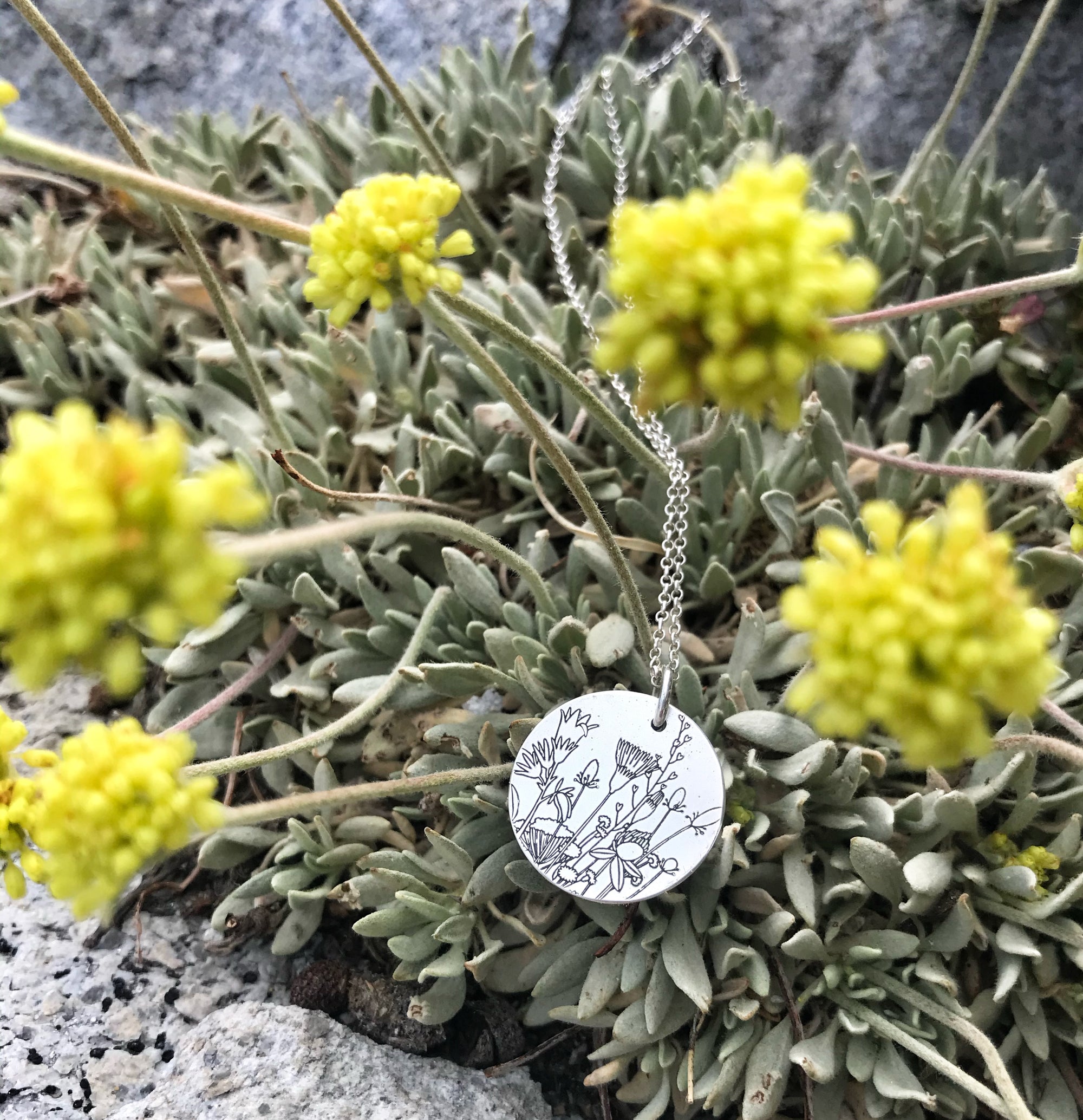 Wildflower Series